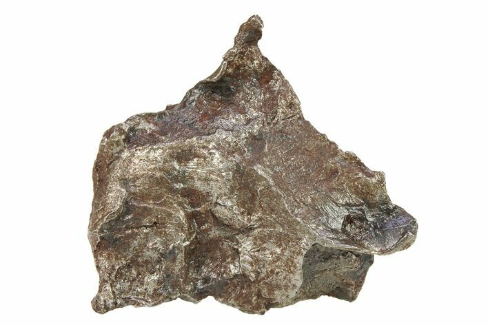 Sikhote-Alin Iron Meteorite Shrapnel ( g) - Russia #287722